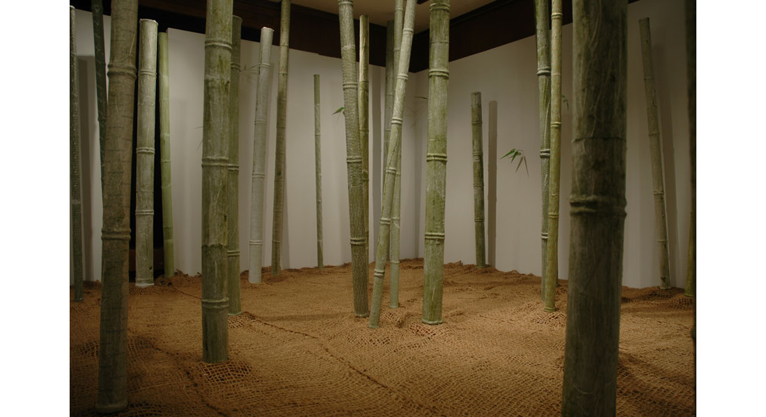 Bamboo-09